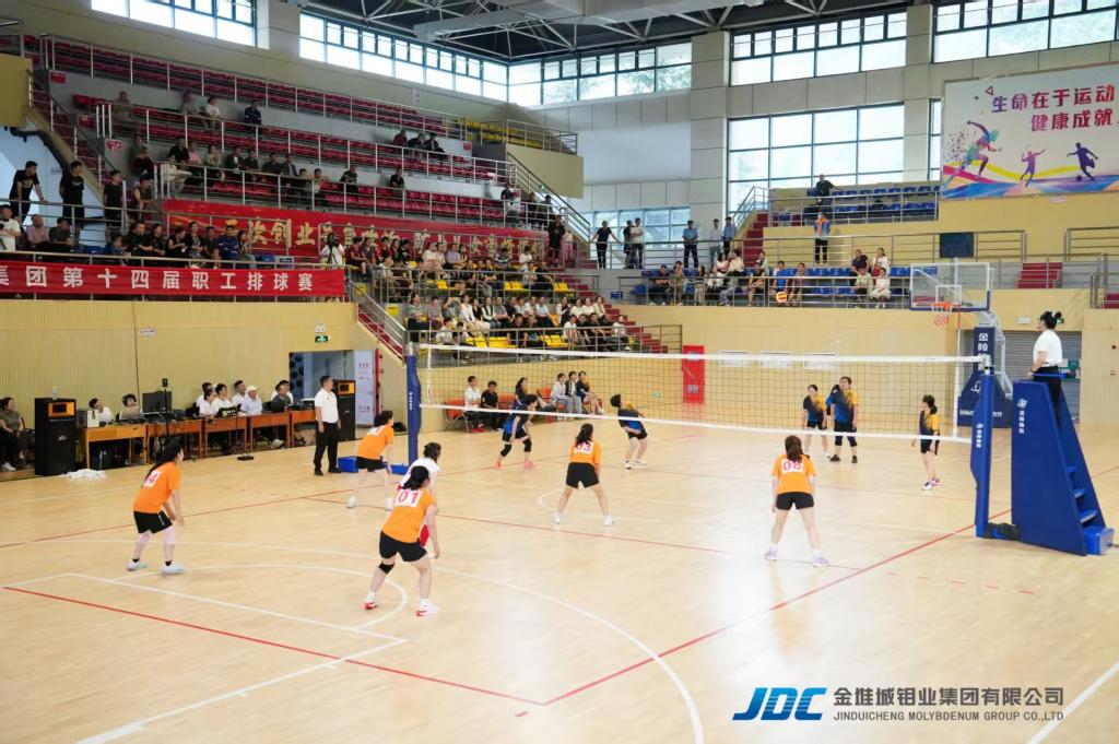 20250818-第十四届排球赛 (2).jpg