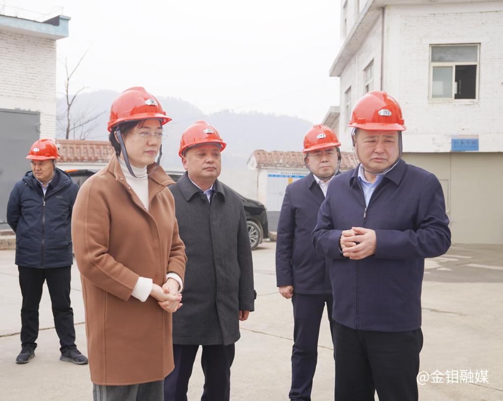 20240306-商洛市委书记赵璟一行到五洲矿业调研.jpg 20240306-商洛市委书记赵璟一行到五洲矿业调研.jpg