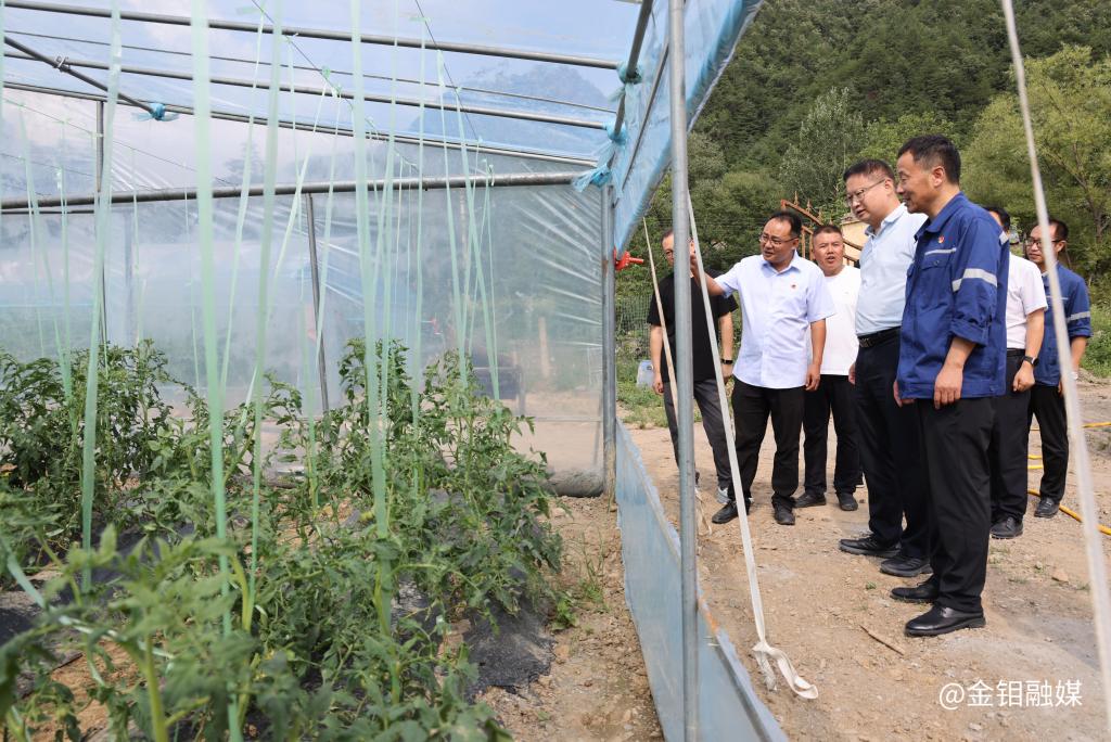 20250721-张保生赴定点帮扶村开展慰问调研 推动乡村产业提质增效 (1).JPG 20250721-张保生赴定点帮扶村开展慰问调研 推动乡村产业提质增效 (1).JPG