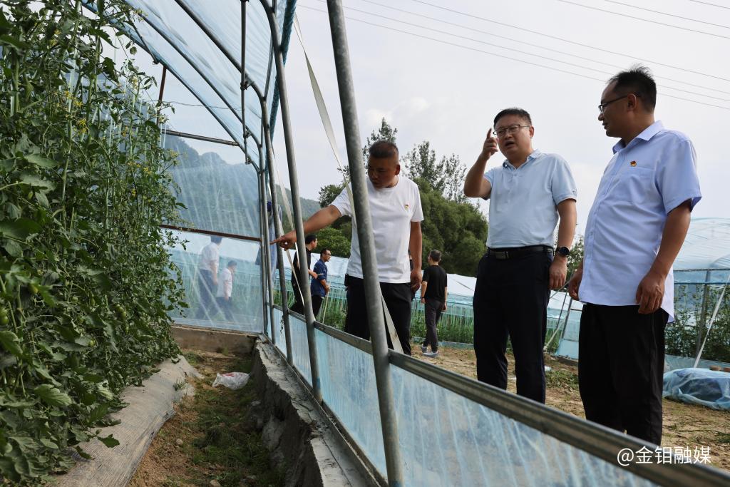 20250721-张保生赴定点帮扶村开展慰问调研 推动乡村产业提质增效 (2).JPG 20250721-张保生赴定点帮扶村开展慰问调研 推动乡村产业提质增效 (2).JPG