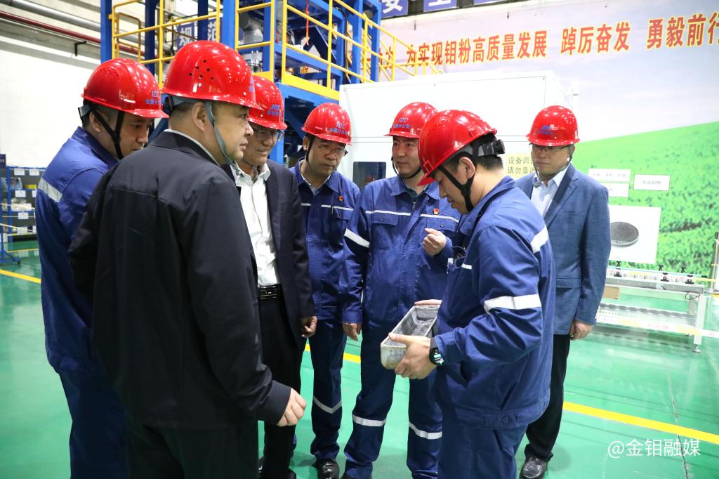 20240416-陈超一行到钼金属工业园调研5 20240416-陈超一行到钼金属工业园调研5.jpg